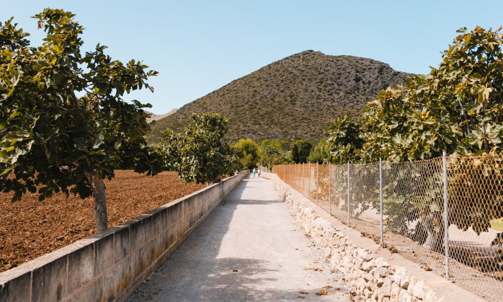 Port de Pollensa vandring
